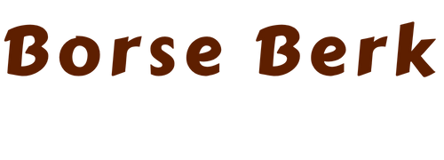 Borse Berk